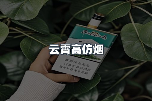 云霄香烟批发